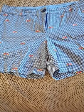 Talbots Gingham Embroidered Scooter Shorts in Blue Size 14P.